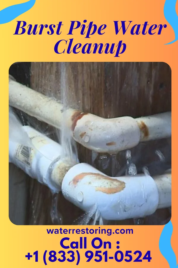 Burst Pipe Water Cleanup in Smyrna, DE