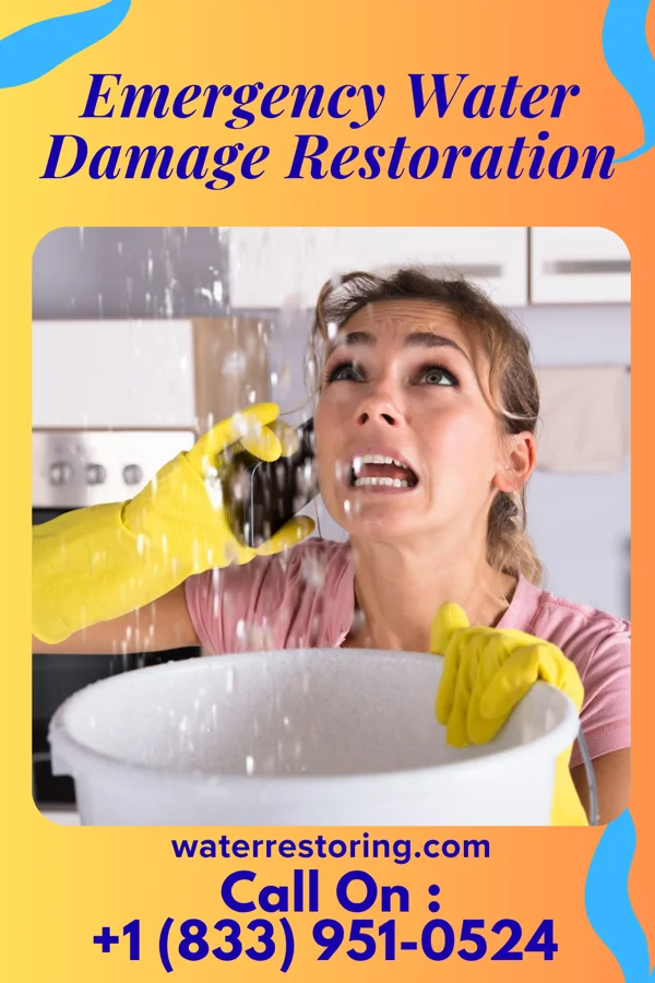 Emergency Water Damage Restoration in Smyrna, DE